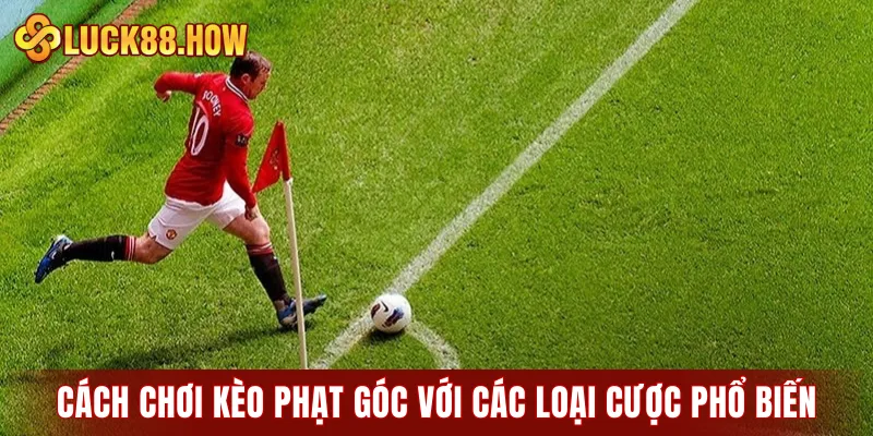 Cách chơi kèo phạt góc với các loại cược phổ biến